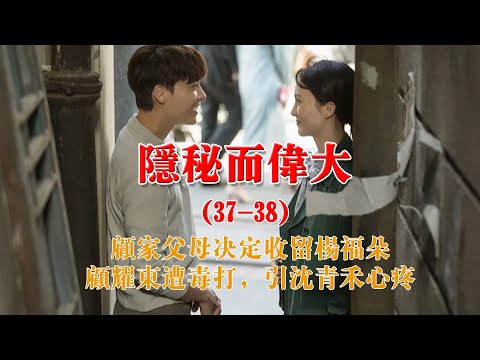 隐秘而伟大 37 38集 顾家父母决定收留杨福朵 顾耀东遭毒打 引沈青禾心疼 