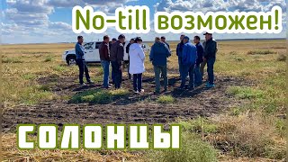 No-till на солонцах возможен!