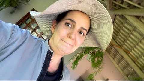 FRAN ADORNO PERDE O SÍTIO 😱??? QUEBRANDO O SILÊNCIO! 🤐 FRAN Adorno