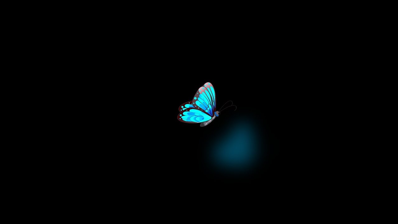 Blue butterfly flying black screen | black screen butterfly | One hour ...