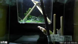20180918 16時26分～23時59分