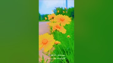 سورة فاطر - آية 09: القارئ/محمد جواد سوالمة