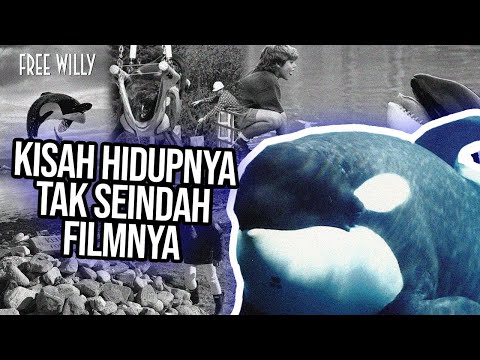 Video: Apakah tilikum di free willy?