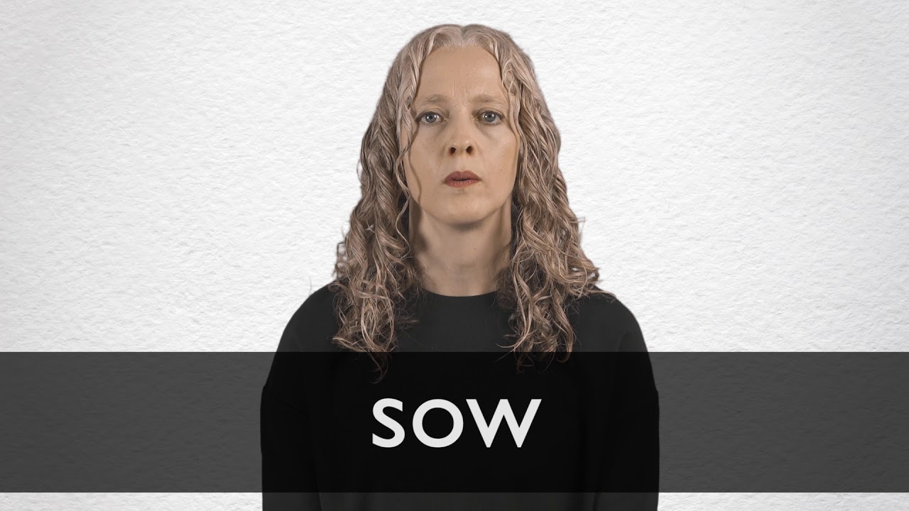 How To Pronounce Sow In British English