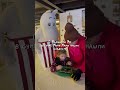 Муми Долина под Петербургом#спб #питер #гатчина #мумийтролль