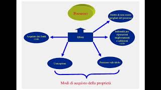 Gli Effetti Del Possesso