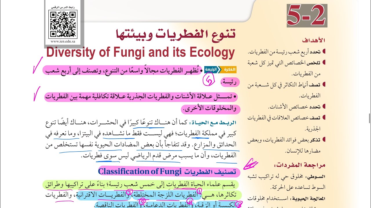 تنوع الفطريات وبيئتها (أحياء أول ثانوي 1446 )