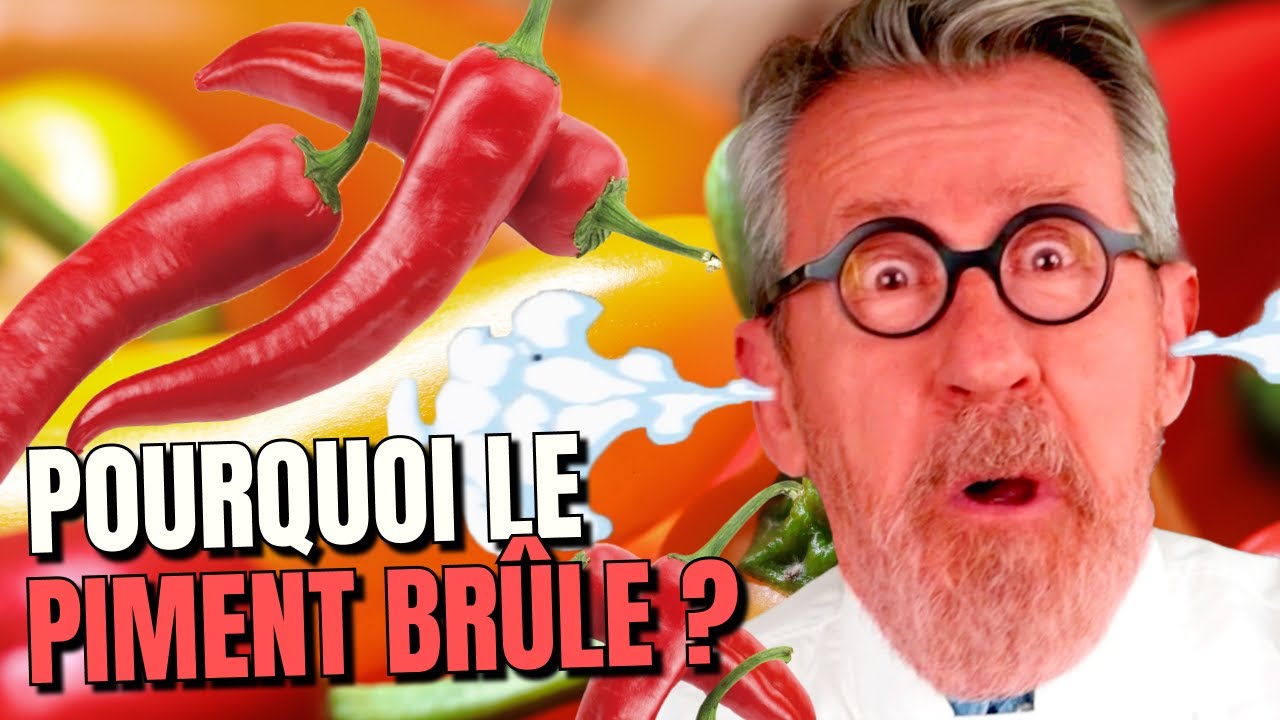 🌶 Pourquoi le piment brûle !? 🥵