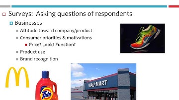 MODULE 4 (What Are Surveys? S21)