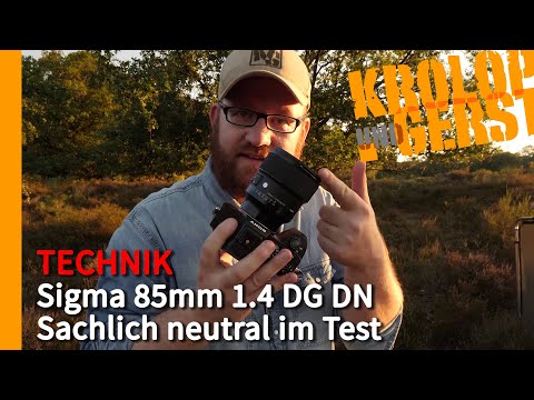 Sigma 85mm 1.4 DG DN Art für E- und L-Mount - Sachlich neutral im Test 📷 Krolop&Gerst