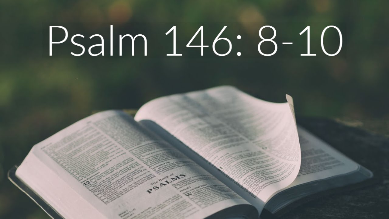 Meditation On Psalm 146 8 10 YouTube