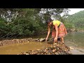 Daily Life - Primitive Skills Build Fish Trap Catch A Lot Of Fish For Survive