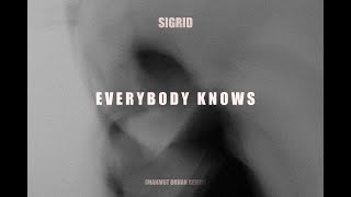 Sigrid - Everybody Knows (Mahmut Orhan Remix) [UNRELEASED]