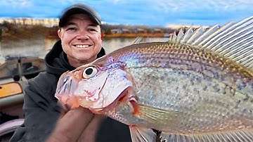 The Easiest Way to Catch Crappie in 2025