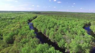 Hirundo Wildlife Refuge Iv