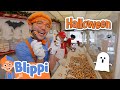 Halloween trickortreat candy with blippi and meekah  educationals for kids