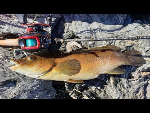 technique de pêche inédite aux appâts en mer !!Je vais pêcher les poissons dans leur tanière !