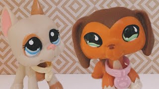 LPS: Unboxing Dachshund 675