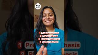 96 A2.2 Quiz Cell Structure By