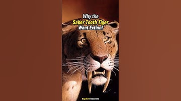 How The Saber Tooth Tiger Went Extinct #sabertoothtiger #prehistoric #shorts