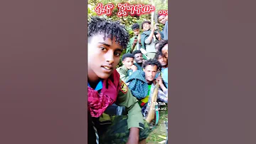 ምርጥ የአማራ ፋኖ ሙዚቃ Best Fano Music 