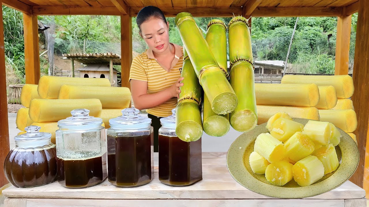 Harvesting SUGARCANE & Making MOLASSES Right in Garden | Traditional FLOATING CAKE in MOLASSES