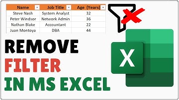 How to Clear Filter in Excel | Remove Filter in Excel