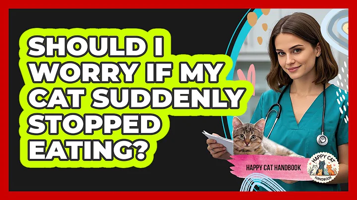 Should I Worry If My Cat Suddenly Stopped Eating? - Happy Cat Handbook