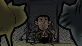 미스터 빈은 대체 고양이를 찾아야 합니다! | Mr Bean | 어린이를 위한 만화 | WildBrain 한국어