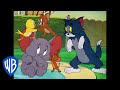 Tom und Jerry auf Deutsch | Jerry und seine Alliierten | WB Kids