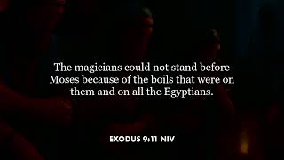 Exodus 9:11 (NIV)