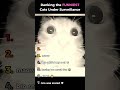 Ranking Funniest Cats Under Surveillance 🎥