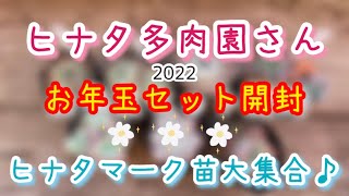 【多肉植物】多肉狩りはこの時期が一番✨⚛️ヒナタ多肉園さんのお年玉セット紹介と過去の購入苗の現在の様子