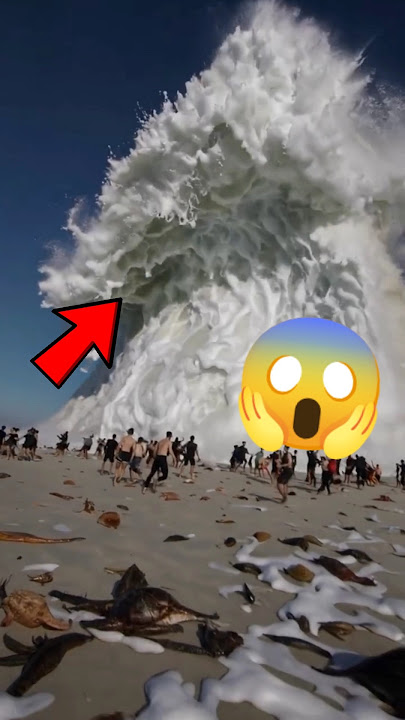 Top 2 Most Terrifying Tsunami Sirens Ever Caught on Camera! 🌊⚠️📢  #tsunami