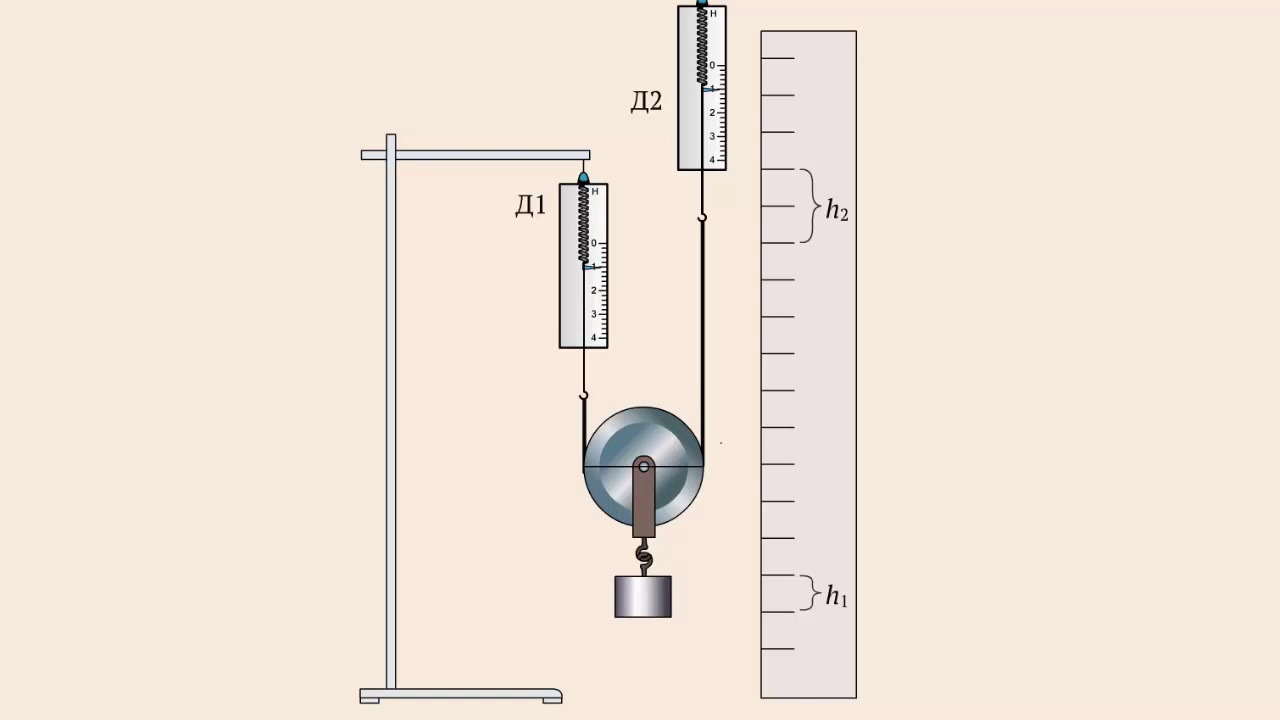 Неподвижный блок физика 7. Рычаги и блоки физика 7 класс. Подвижный и неподвижный блок физика. Неподвижный блок физика 7 класс. Подвижный и неподвижный блок 7 класс физика.