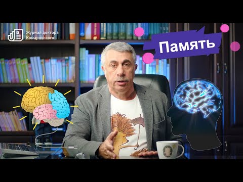 "Плохая память". Почему? Когда начинать волноваться? Как помочь?