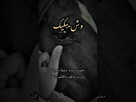 وش يبكيك اتعبتنا الحياة ودوختنا الظروف