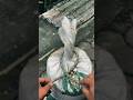 This Knot Waris Perfectly!... #shorts #shortvideo #knot #knots #rope