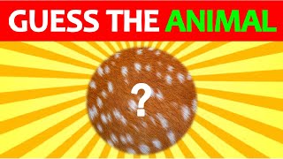 Can you Identify these Animals from their Patterns?