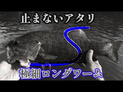 This worm is amazing! I've certified it as the best worm for