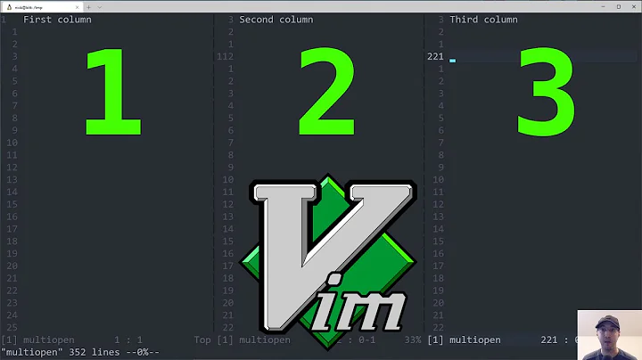 Open a File with Multiple Columns Scrolled to Specific Lines with Vim