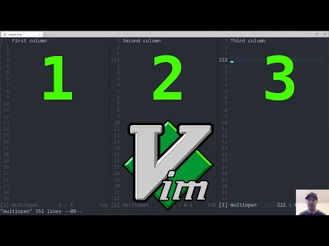 Open a File with Multiple Columns Scrolled to Specific Lines with Vim