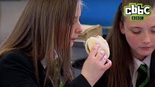 Our School 2 - School Dinners - Cbbc