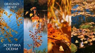 Moments of autumn beauty  _ Моменты осенней красоты (08.10.2023 природа)