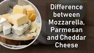 Difference between Mozzarella, Parmesan and Cheddar Cheese | Basic Difference #cheese