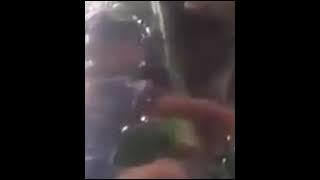 Aksi pemberani pemetik kelapa