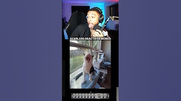 SCARLXRD REACTS TO MEMES #scarlxrd #funny #cats