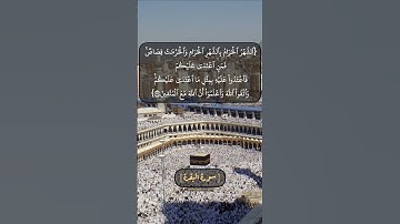 سورة البقرة الآية ١٩٤ و ١٩٥ بصوت الشيخ محمد صديق المنشاوي
