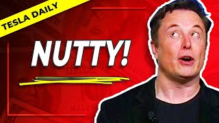 Musk Preps Tesla For Nutty Quarter, China Production Analysis, New 4680 Info