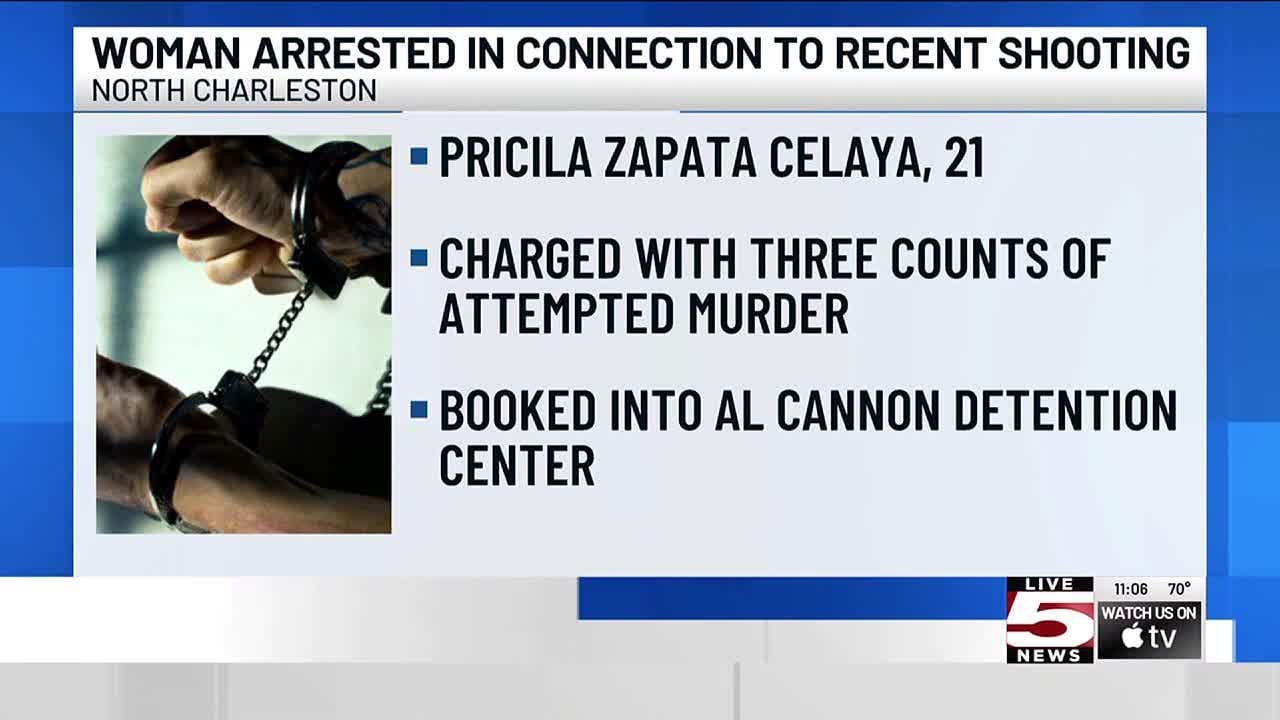 VIDEO: 21-year-old woman charged with attempted murder in North ...